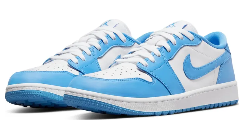 air-jordan-1 DD9315-100