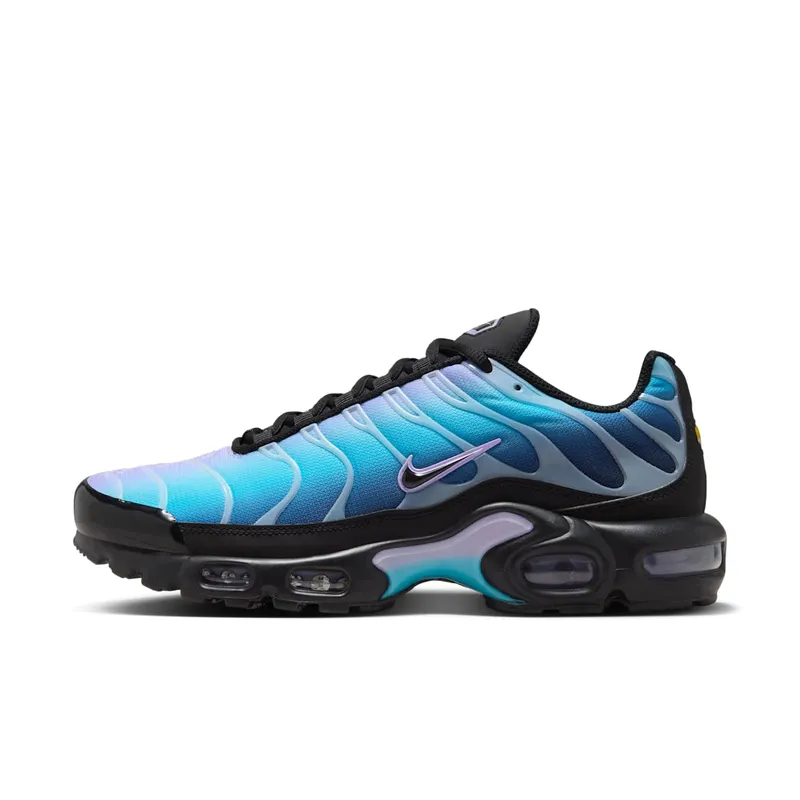 Nike Air Max Plus Black Hydrangeas (HV2510-001)