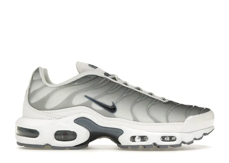 Nike Air Max Plus Smoke Grey Ashen Slate (FQ2892-100)
