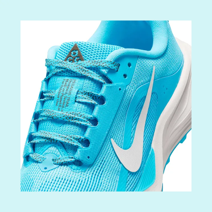nike-air-pegasus IH2305-400
