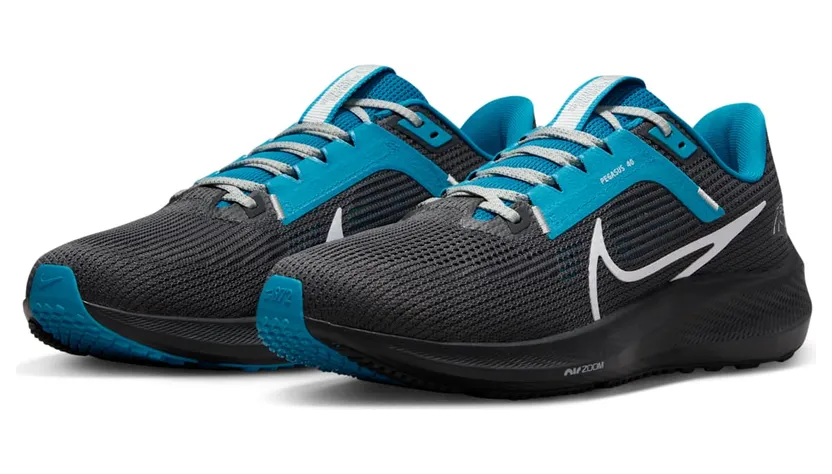 nike-air-pegasus DZ6010-001