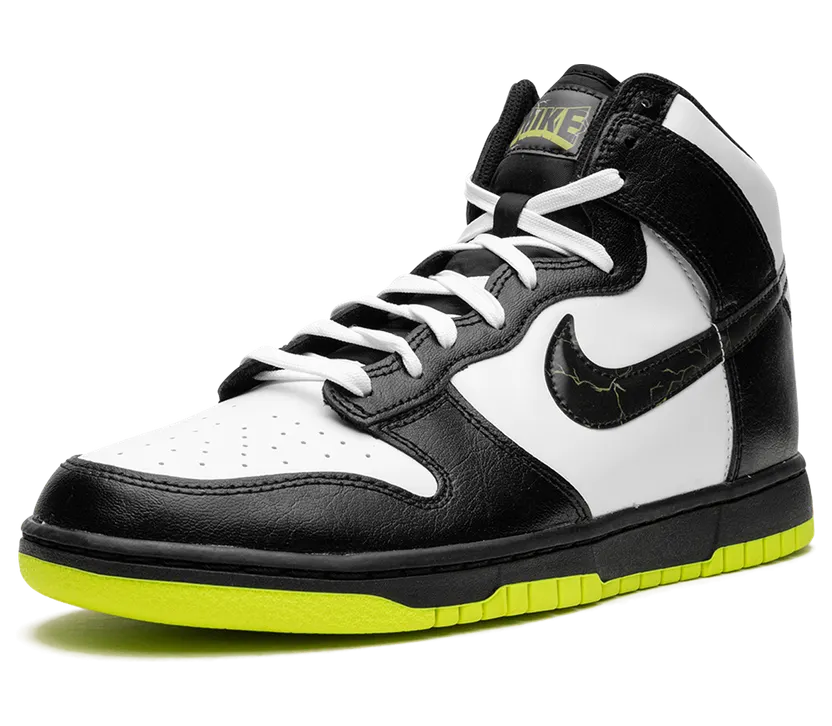 nike-dunk FD0732-100