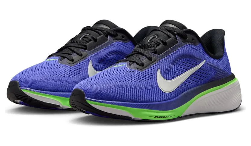 nike-air-pegasus IH2306-501