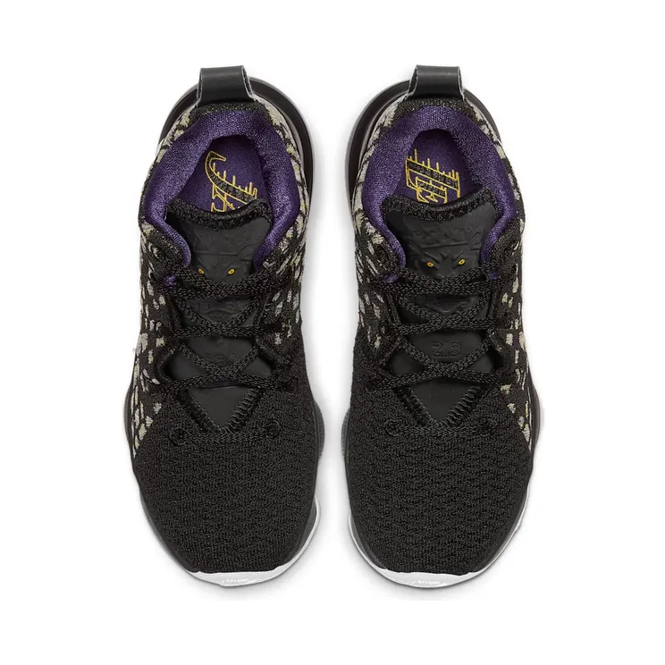 nike-lebron-17 BQ5595-004