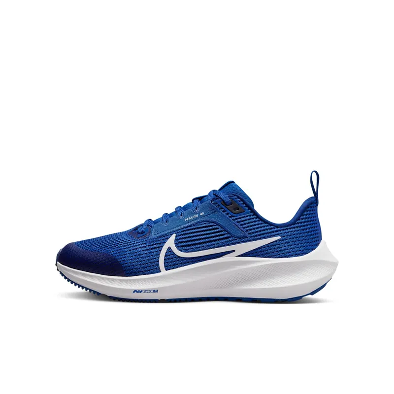 Nike Air Zoom Pegasus 40 “Game Royal / Deep Royal Blue / White” (DX2498-400)