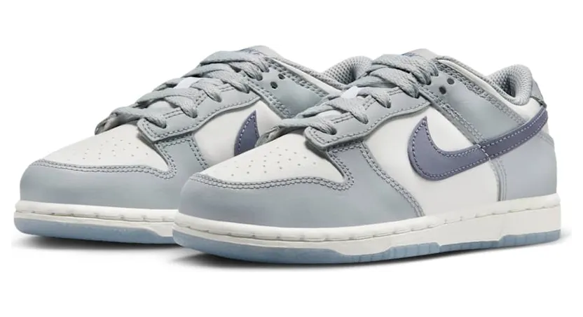 nike-dunk FB9108-101