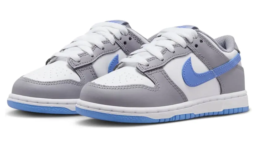 nike-dunk FB9108-121