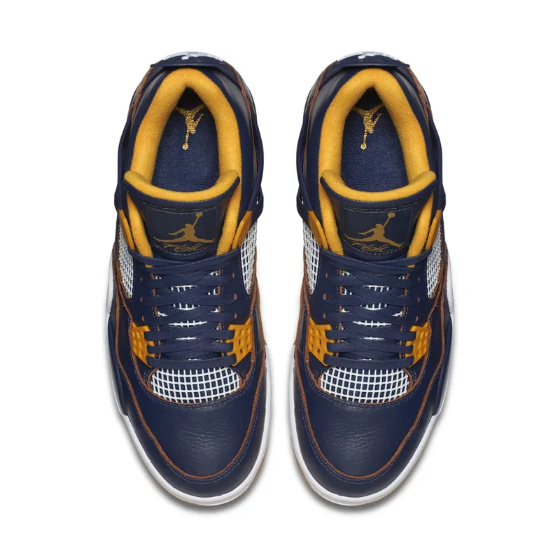 Air Jordan Nike AJ 4 IV Retro Dunk From Above (308497-425)