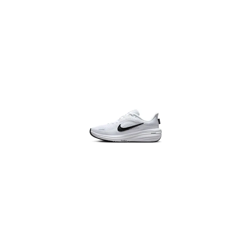 Nike Winflo 12 ‘ Road “White/Pure Platinum/Black” (IQ9767-100)