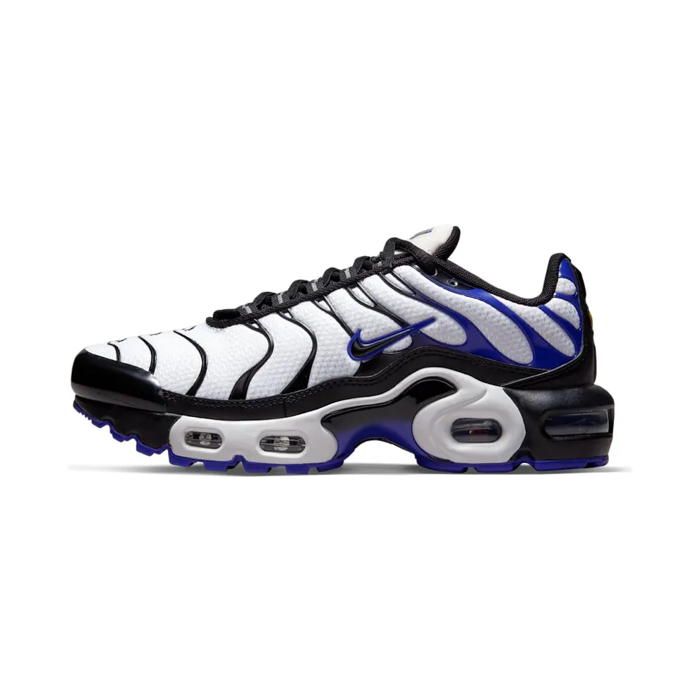 Nike Air Max Plus Persian Violet (GS) (CD0609-104)