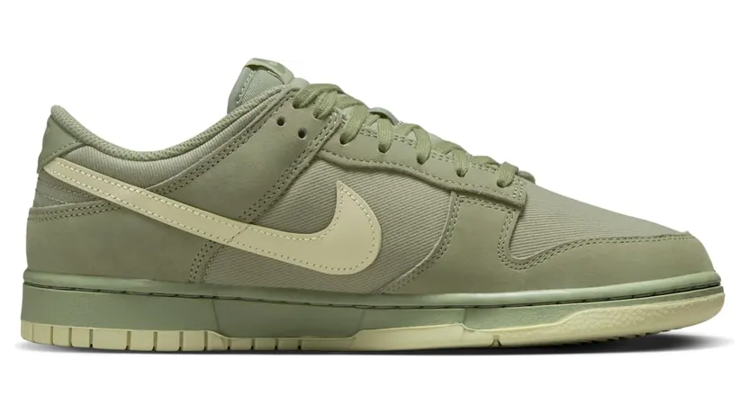 nike-dunk FB8895-300