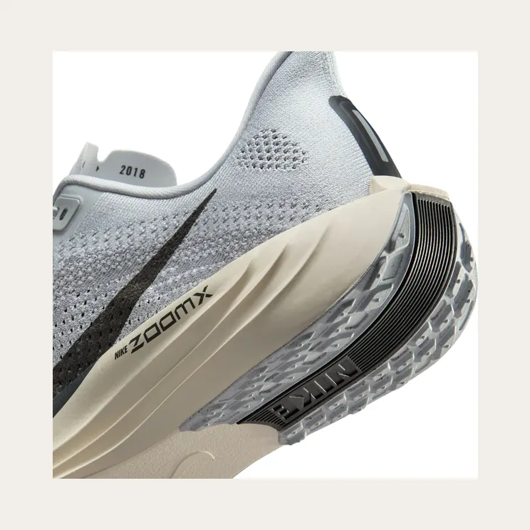 nike-air-pegasus FQ7262-017