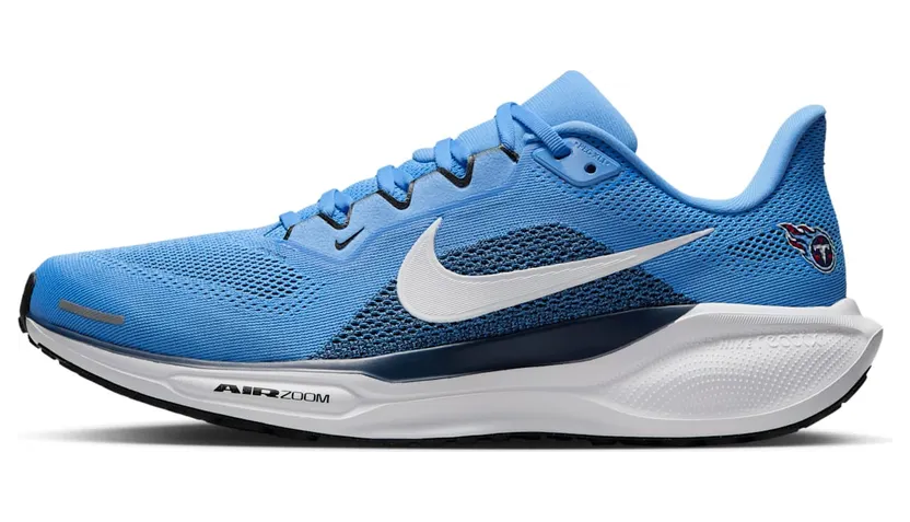 Nike Air Zoom IB3204-400