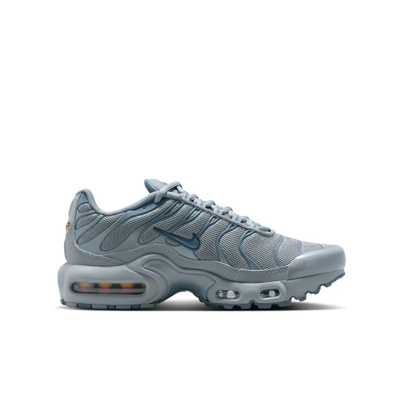 Nike Air Max Plus Stealth Monsoon Blue (CD0609-042)