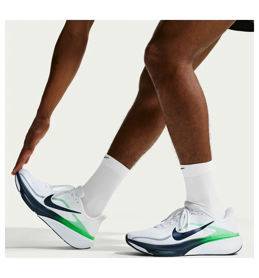 nike-air-pegasus IB1873-107