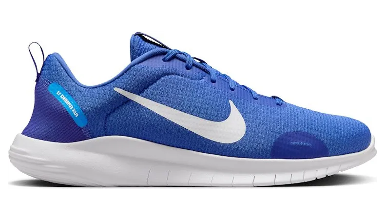 Nike Flex Experience Run 12 Comet Blue Lapis White (DV0740-403)
