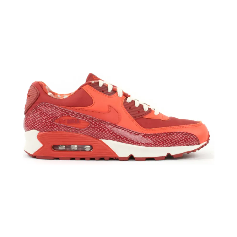 Nike Air Max 90 Steve Nash (314864-881)