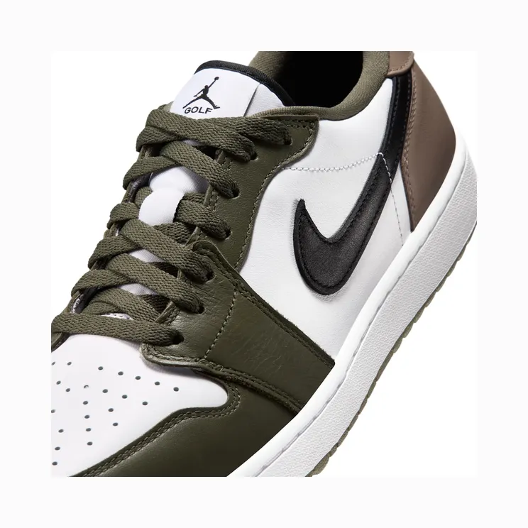 air-jordan-1 DD9315-121