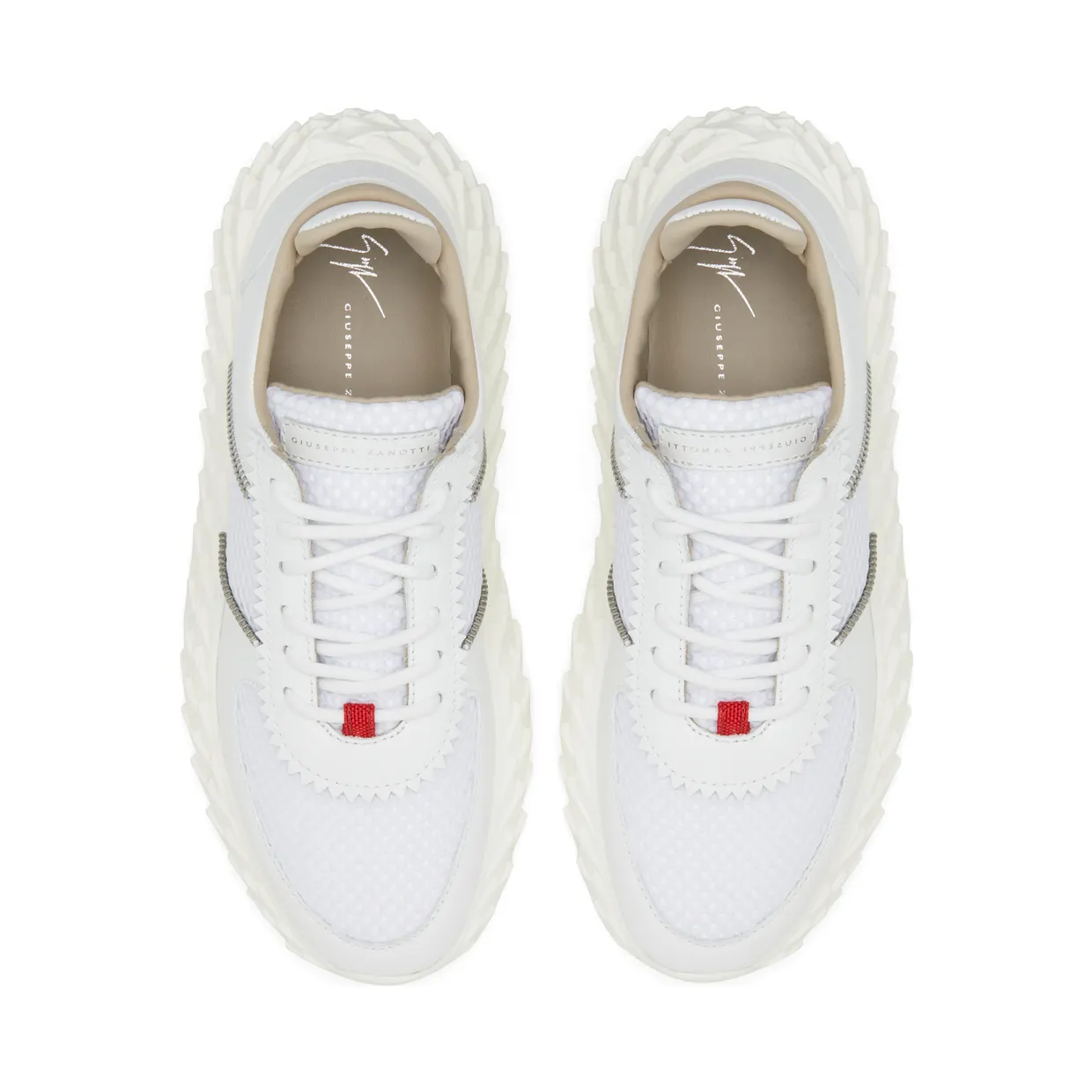 Giuseppe Zanotti Urchin (RM00029003) (4)