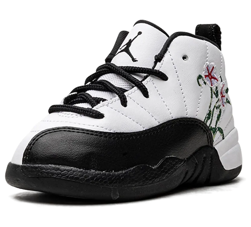 air-jordan-12 DR6955-100