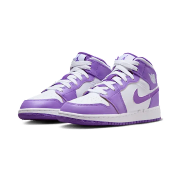 air-jordan-1 DQ8423-511