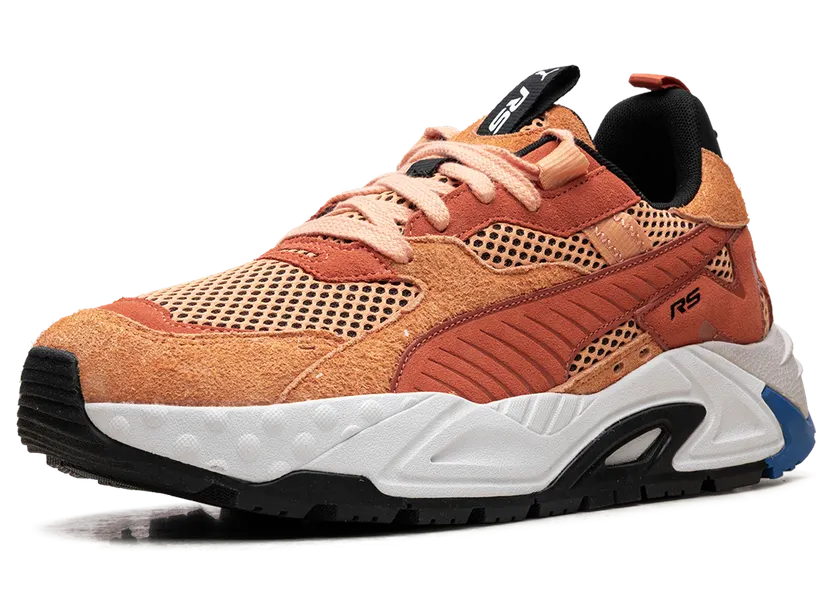 puma-rs-trck 390717-01