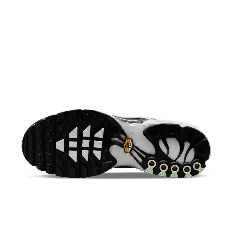 Nike TN Air Max Plus Seafoam Grey Black (DH4776-100)