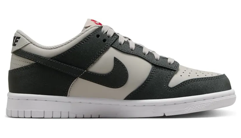 nike-dunk FZ1000-001