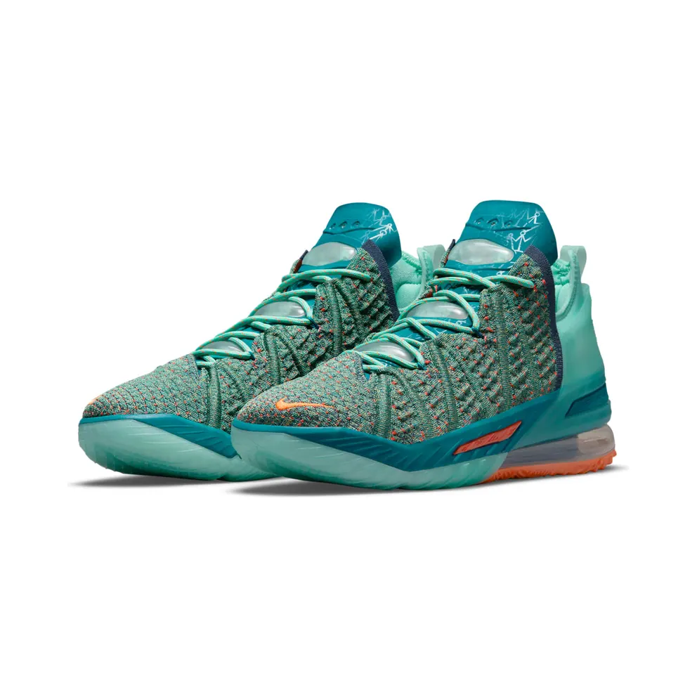 Nike LeBron 18 We Are Family (CQ9283-300)