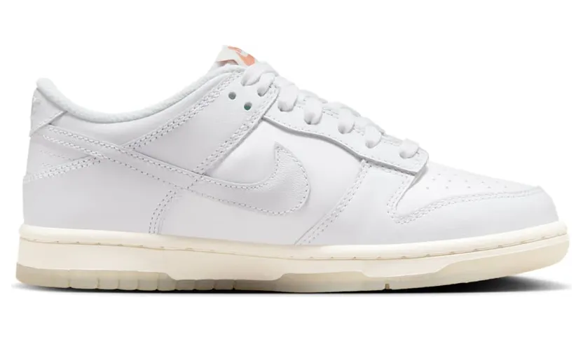 nike-dunk FN4861-100
