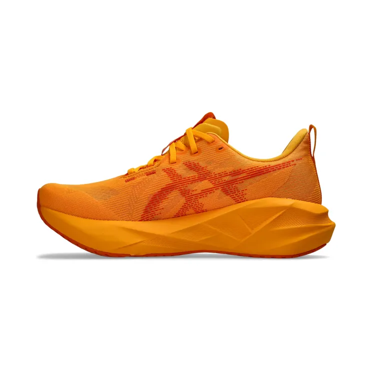 asics-novablast 1011B974-800