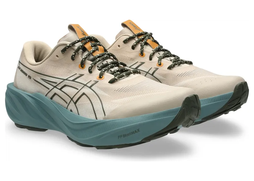 asics-gt-2000-2 1011C308-250