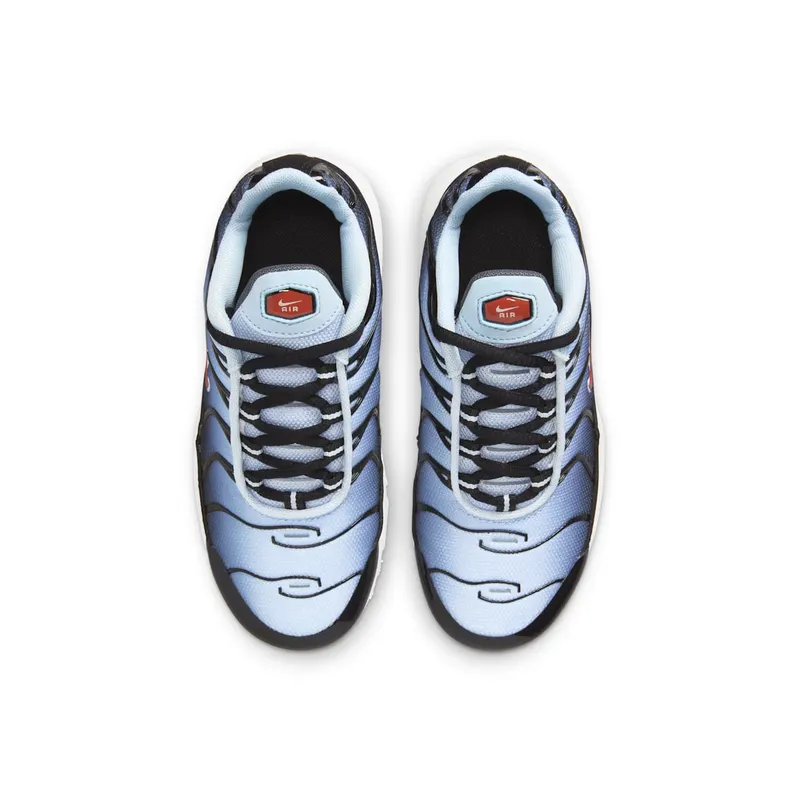 Nike Air Max Plus Black Blue Tint Light Smoke Grey Rugged Orange (CD0610-023)