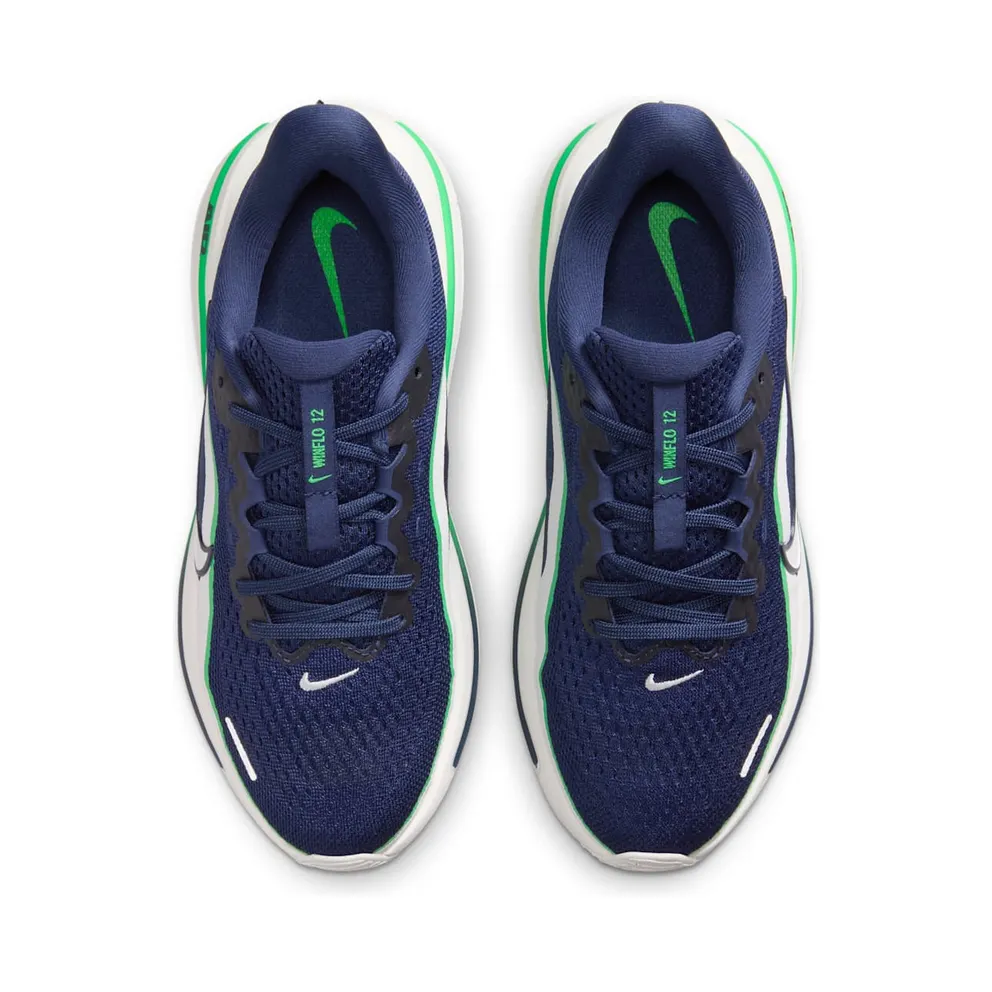 Nike Winflo 12 Blue (IQ9767-400)