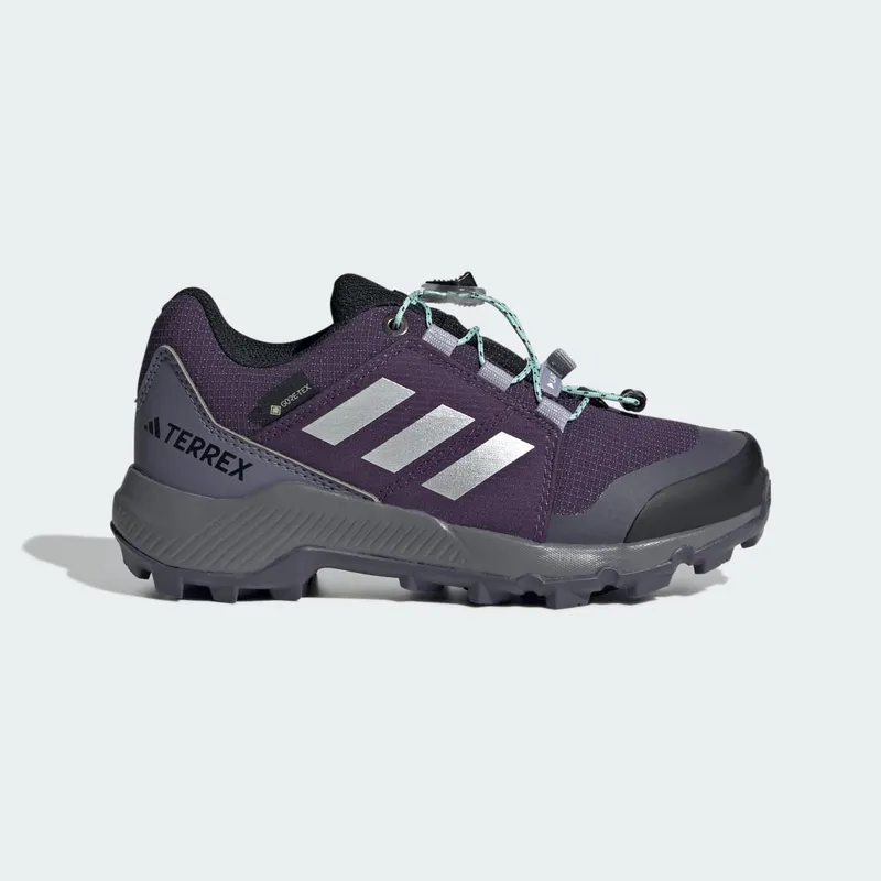 Adidas Terrex GORE-TEX Hiking Aurora Plum / Silver Metallic / Semi Flash Aqua (JS2930)