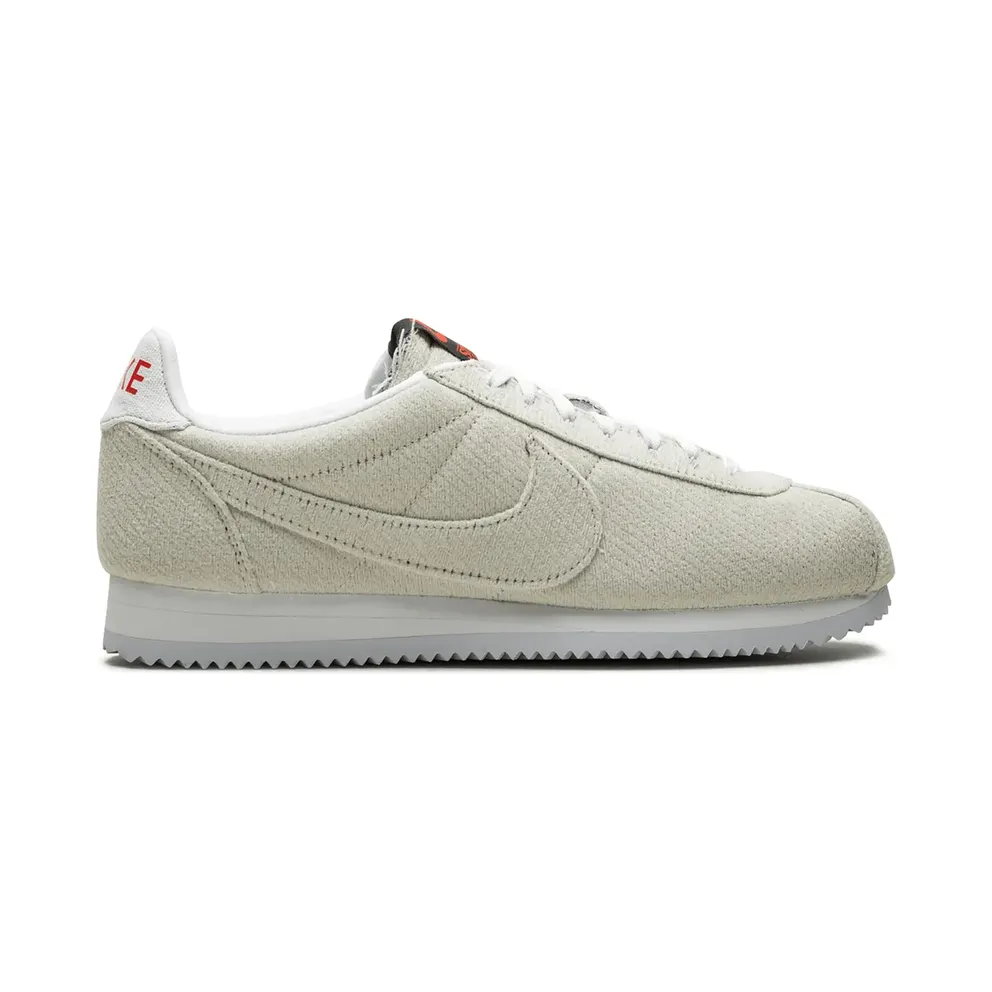 Nike SB Zoom Dunk Pro low-top – Red (CJ6107)