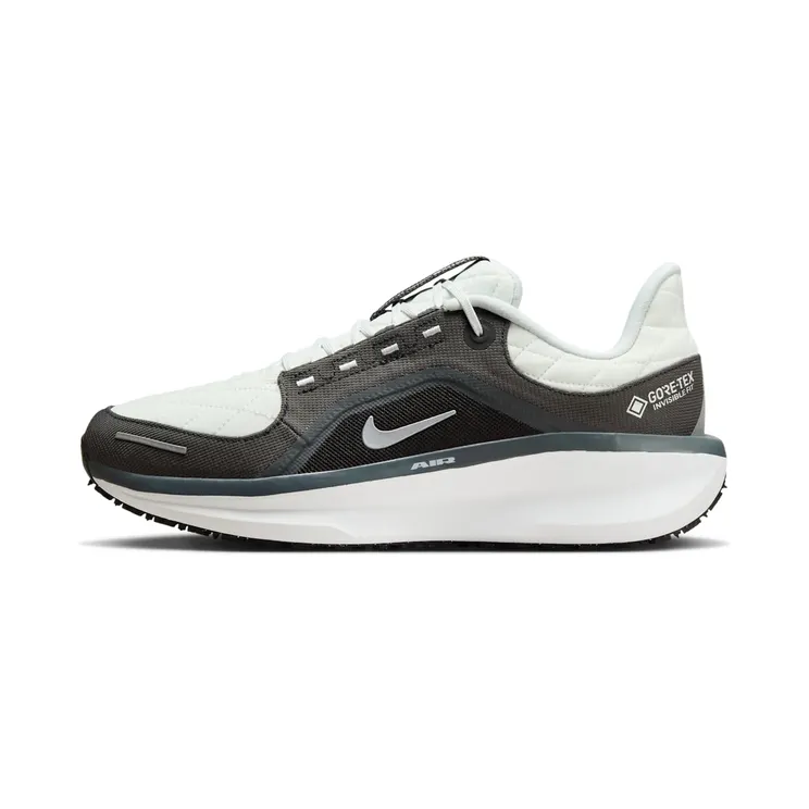 Nike Winflo 11 Gore-Tex “Anthracite / Black / Photon Dust / Metallic Silver” (FQ1358-004)