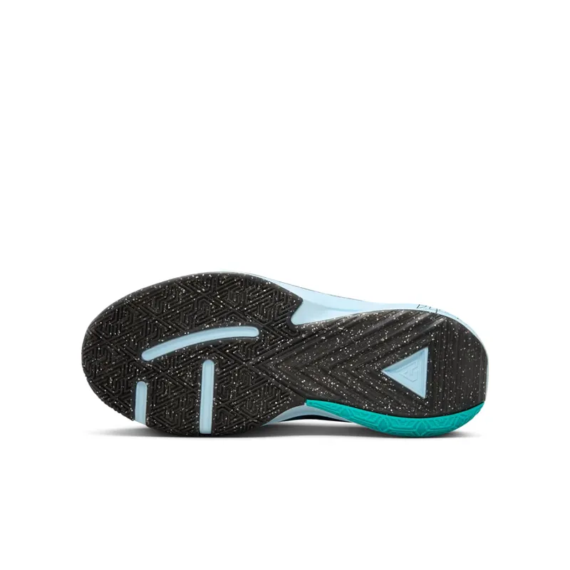 Nike Zoom Freak 5 All-Star (FN1356-300)