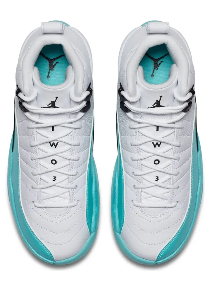 air-jordan-12 510815-100