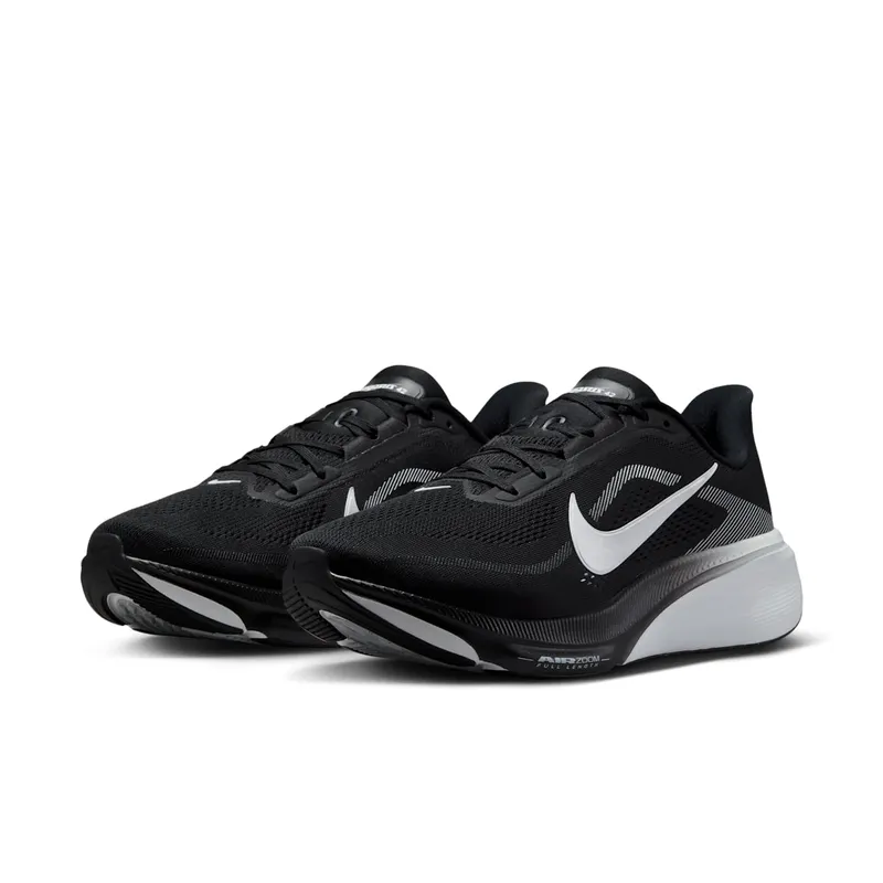 Nike Pegasus Black/Photon Dust/White (IR1228-001)
