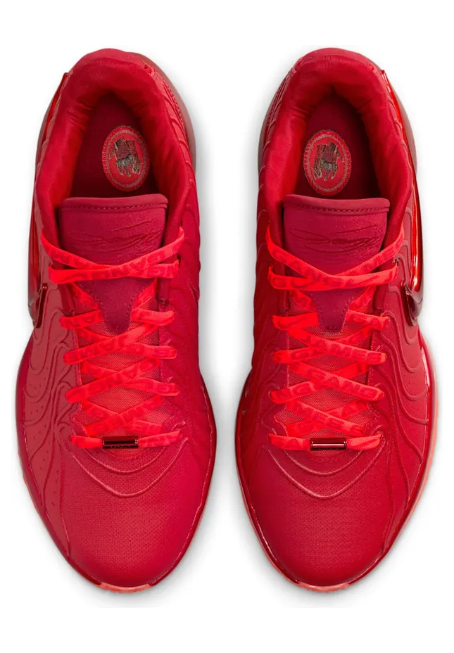 nike-lebron HF5951-600