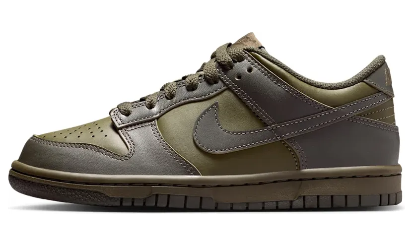 Nike Dunk Low FB9109-302