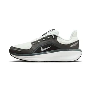 Nike Winflo 11 Gore-Tex “Anthracite / Black / Photon Dust / Metallic Silver” (FQ1358-004)