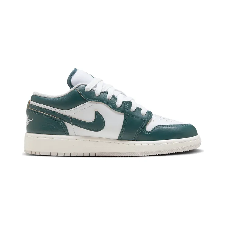 air-jordan-1 FQ8041-300