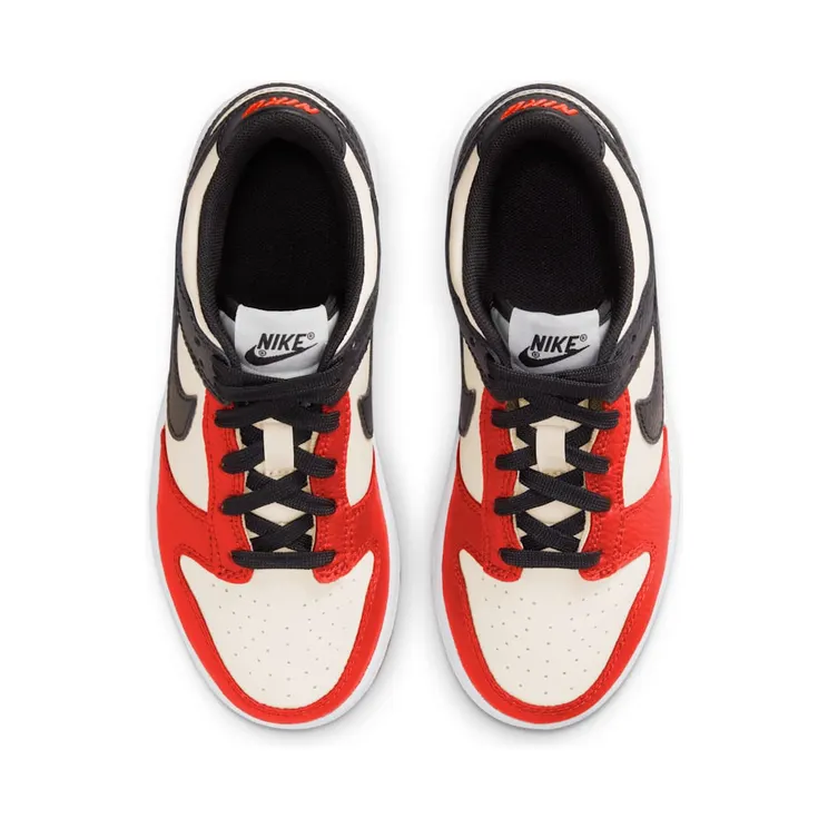 nike-dunk DC9564-100