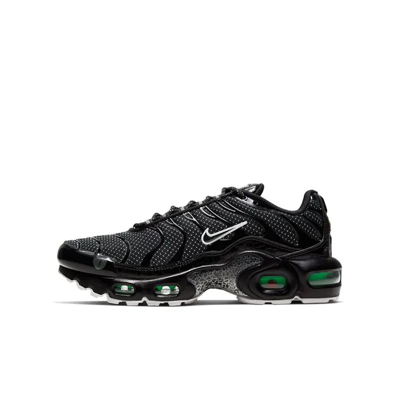 Nike Air Max Plus Black Viper (GS) Black/White-White-Black (CV2392-001)