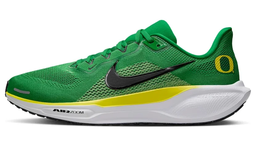 Nike Air Zoom IB3260-300
