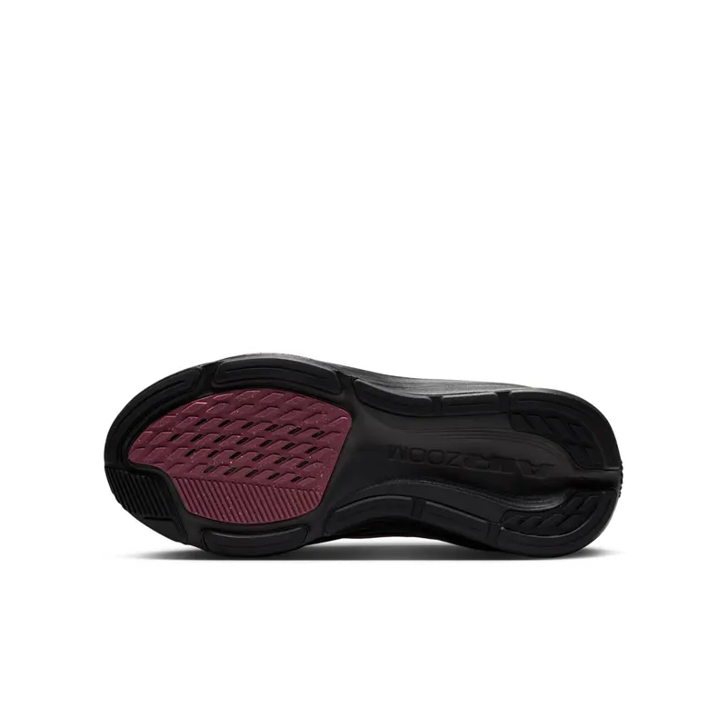 Nike Pegasus Pink Smoke/Gunsmoke/Black (IH2306-600)