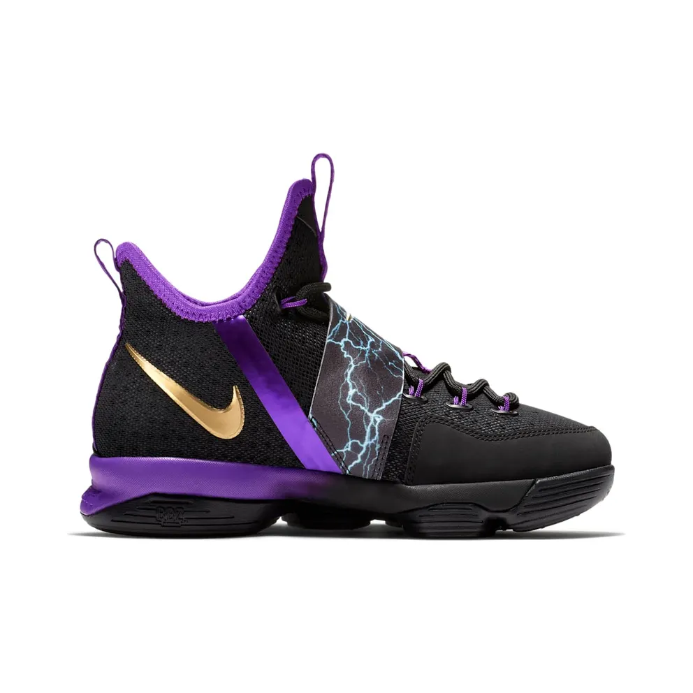 Nike LeBron 14 The Undertaker (GS) Hyper Grape/Metallic Gold-Black (AA3258-590)