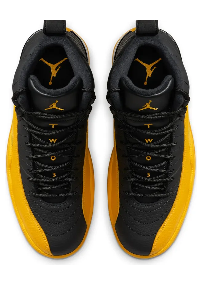 air-jordan-12 130690-070